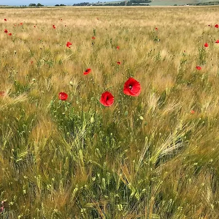 Petite Maison Et Grand Jardin Wifi A 20 Minutes Prázdninový dům Royville