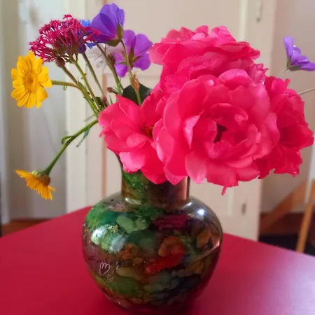 Prázdninový dům Petite Maison Et Grand Jardin Wifi A 20 Minutes Royville