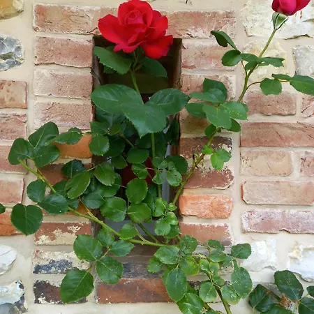 Prázdninový dům Petite Maison Et Grand Jardin Wifi A 20 Minutes *