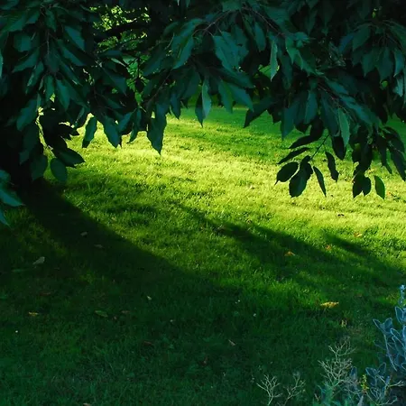 Prázdninový dům Petite Maison Et Grand Jardin Wifi A 20 Minutes *