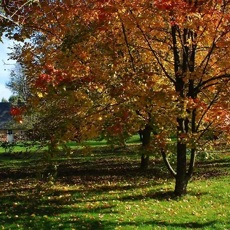 Petite Maison Et Grand Jardin Wifi A 20 Minutes *