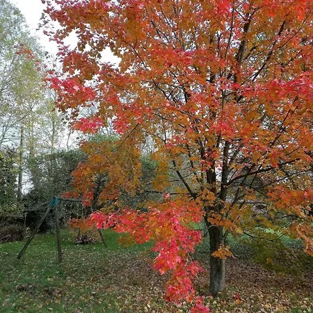 Petite Maison Et Grand Jardin Wifi A 20 Minutes Royville