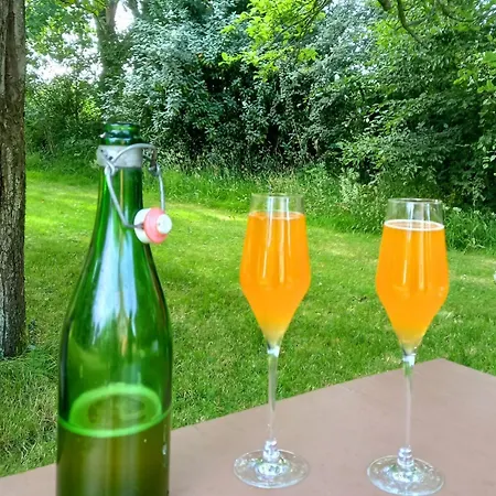 Petite Maison Et Grand Jardin Wifi A 20 Minutes *